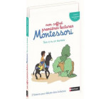 Mon coffret premières lectures Montessori : Tom a vu un taureau niveau 4