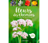 FLEURS DES CHEMINS