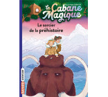 LA CABANE MAGIQUE, TOME 06 - LE SORCIER DE LA PREHISTOIRE