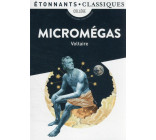 MICROMEGAS