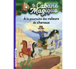 La cabane magique, Tome 13