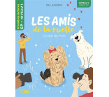 AMIS RUELLE - STAR DE POLO N1