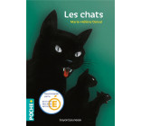 LES CHATS