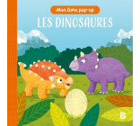 BALLON + LIVRE POP-UP LES DINOSAURES