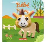 Bébé poney