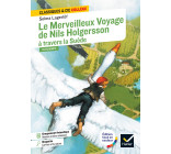 LE MERVEILLEUX VOYAGE DE NILS HOLGERSSON A TRAVERS LA SUEDE - SUIVI D-UN GROUPEMENT THEMATIQUE :  H