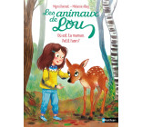 LES ANIMAUX DE LOU : OU EST TA MAMAN, PETIT FAON ?