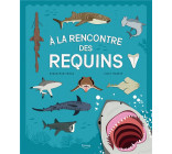 A LA RENCONTRE DES REQUINS