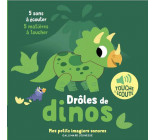 DROLES DE DINOS - 5 SONS A ECOUTER, 5 MATIERES A TOUCHER