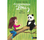 LES ANIMAUX DE LOU : BRAVO, PETIT PANDA !