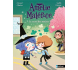 AMELIE MALEFICE - LE SECRET DES SORCIERS