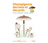 Champignons des bois et des prés