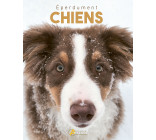 EPERDUMENT CHIENS