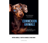 Connexion animale