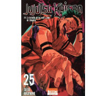 Jujutsu Kaisen T25