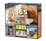 365 JOURS ADORABLES CHATS ET CHATONS  - CALENDRIERS GÉO