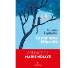 La moindre étincelle