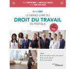 Le grand livre du droit du travail en pratique