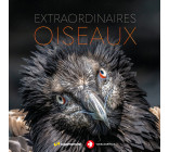 Extraordinaires oiseaux