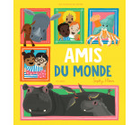 Amis du monde