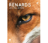 Renards