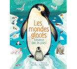 LES MONDES GLACÉS