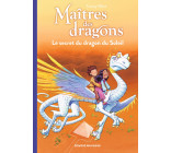 Maîtres des dragons, Tome 02