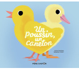 Un poussin, un caneton