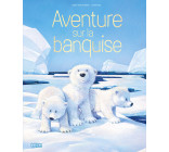 AVENTURE SUR LA BANQUISE