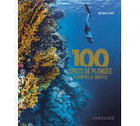 100 SPOTS DE PLONGEE A COUPER LE SOUFFLE