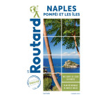 Guide du Routard Naples 2021/22