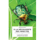 A LA DECOUVERTE DES INSECTES