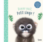 BONNE NUIT PETIT SINGE