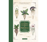 LE GRAND LIVRE DES PLANTES DE SORCIERES