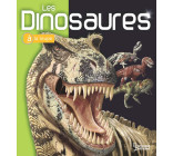 LES DINOSAURES