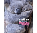 LES ANIMAUX LES PLUS MIGNONS DU MONDE