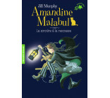 Amandine Malabul, la sorcière à la rescousse