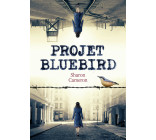 Projet Bluebird