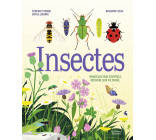 Insectes