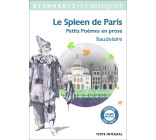 Le Spleen de Paris