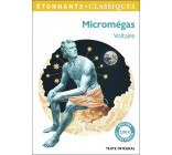 Micromégas