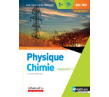 Physique-chimie 1re/Term Bac Pro - Groupement 2 (Les cahiers de Newton) - Livre + licence élève 2020