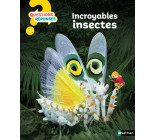 Incroyables insectes