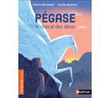 Pégase, le cheval des dieux