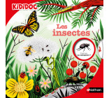 Les Insectes