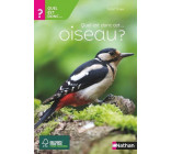 Quel est donc cet oiseau ?