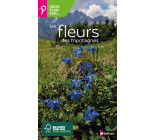 Gros plan sur les fleurs des montagnes