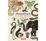 Animalium