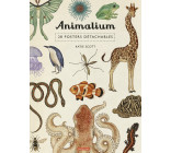 Animalium