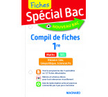 Spécial Bac Compil de Fiches SES-Maths-Histoire-Géo-Géopolitique-Sciences Po 1re